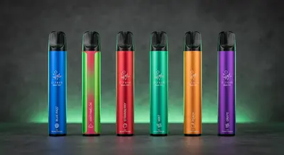 Elf Bar Mate 500