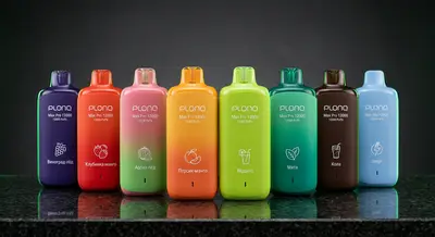 Plonq Max Pro 12000