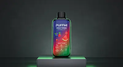 Puffmi Vinci 12000
